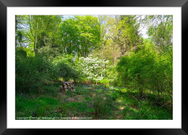 Clearing in the woods on a sunny day Framed Mounted Print by Michael Shannon