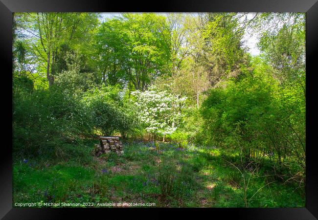 Clearing in the woods on a sunny day Framed Print by Michael Shannon