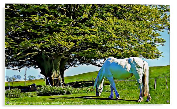 Majestic White Horse Grazing in a Serene Field Acrylic by Kevin Maughan