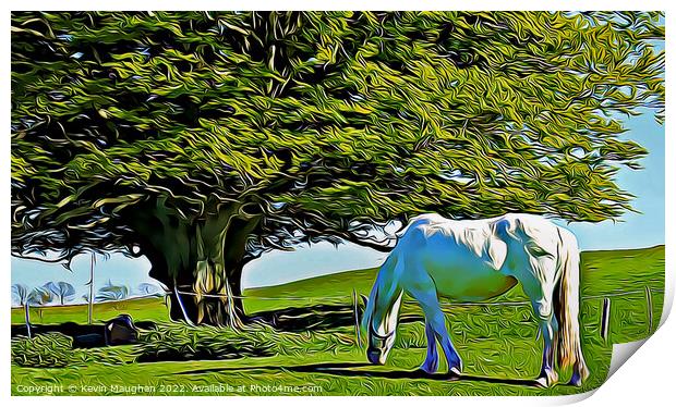 Majestic White Horse Grazing in a Serene Field Print by Kevin Maughan