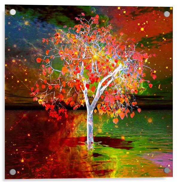 Star Tree Acrylic by Matthew Lacey