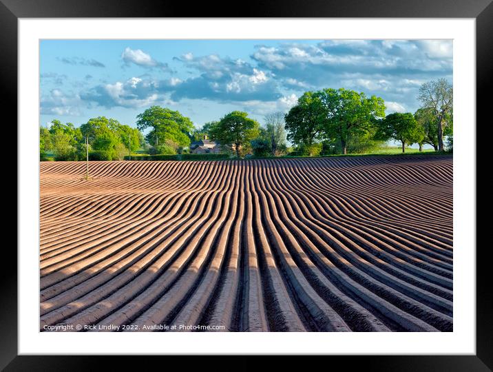 Plough Lines Framed Mounted Print by Rick Lindley