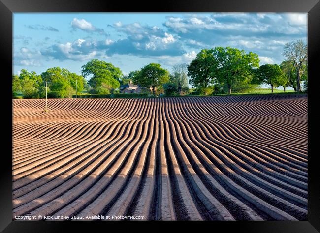 Plough Lines Framed Print by Rick Lindley