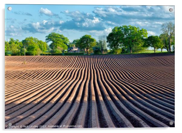 Plough Lines Acrylic by Rick Lindley