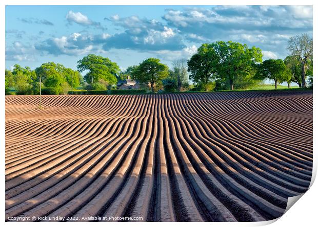 Plough Lines Print by Rick Lindley