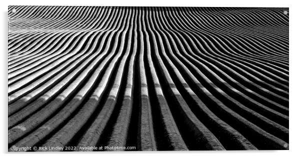 A Ploughed Field Acrylic by Rick Lindley