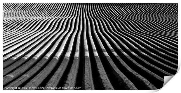 A Ploughed Field Print by Rick Lindley