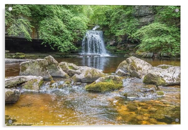 Cauldron Force Waterfall, West Burton, Wensleydale, Yorkshire Dales Acrylic by Richard Laidler