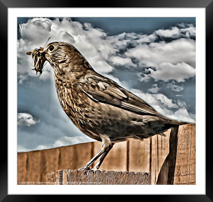 Bird Resting (Digital Art) Framed Mounted Print by Kevin Maughan