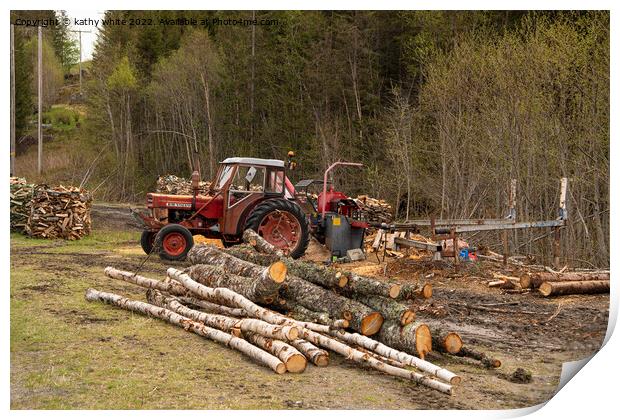 Rustic Charm Vintage Red Tractor in Norwegian Farm Print by kathy white