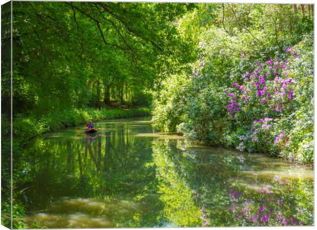 Basingstoke Canal. North Hampshire  Canvas Print by Philip Enticknap