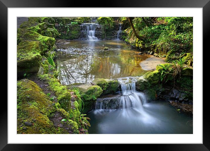 Peasholm Park Waterfall, Scarborough Framed Mounted Print by Darren Galpin
