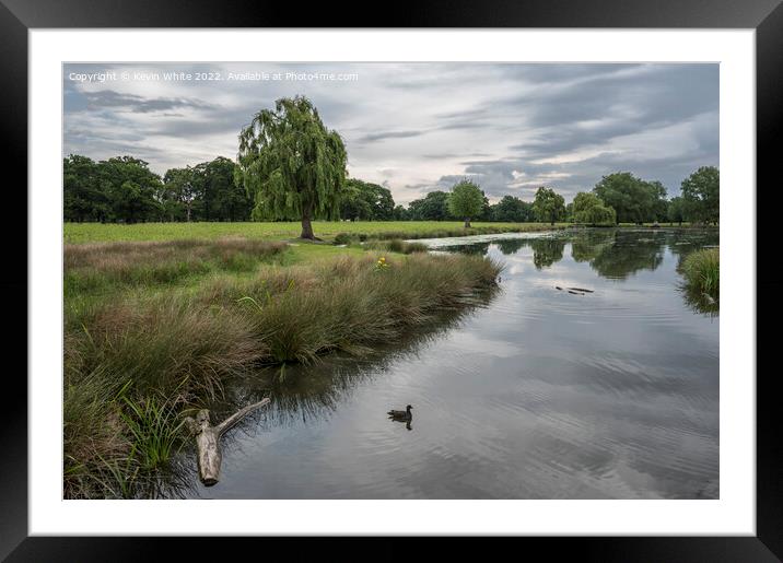 Leg of mutton pond Bushy Park Surrey Framed Mounted Print by Kevin White