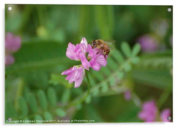 Honey Bee Acrylic by Kathleen Stephens