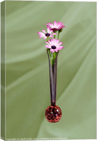 African Daisy flower in a vase isolated on light green. Canvas Print by Geoff Childs