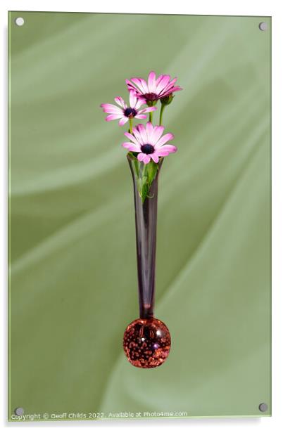 African Daisy flower in a vase isolated on light green. Acrylic by Geoff Childs