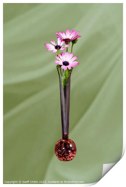 African Daisy flower in a vase isolated on light green. Print by Geoff Childs