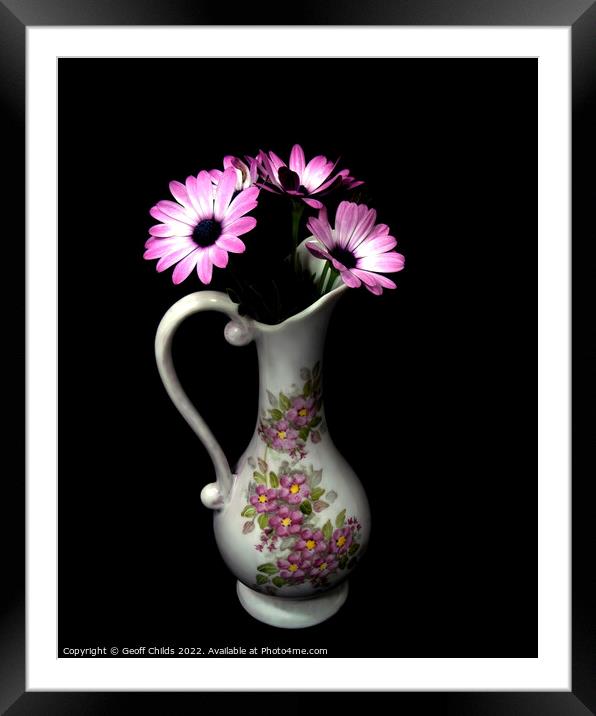 African Daisy flower in a decorative vase isolated on black. Framed Mounted Print by Geoff Childs