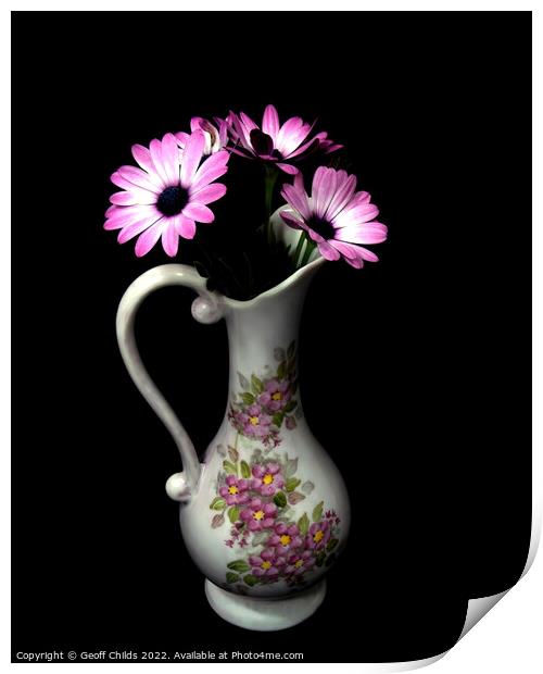 African Daisy flower in a decorative vase isolated on black. Print by Geoff Childs