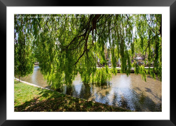 Willow Tree, Bourton-On-The-Water Framed Mounted Print by Derek Daniel