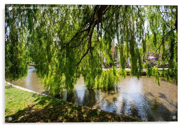 Willow Tree, Bourton-On-The-Water Acrylic by Derek Daniel