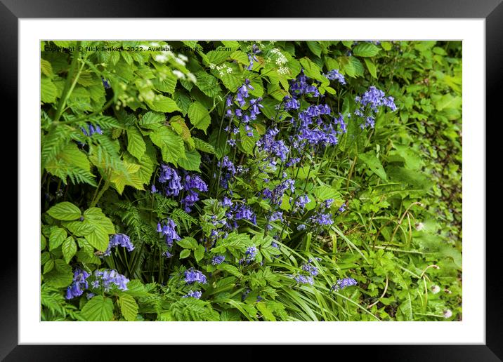 Spring Hedgerow in May  Framed Mounted Print by Nick Jenkins