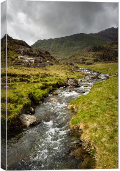 The Afon Cwm Llan by the Watkin Path in the mountains of Snowdonia Canvas Print by Andrew Kearton