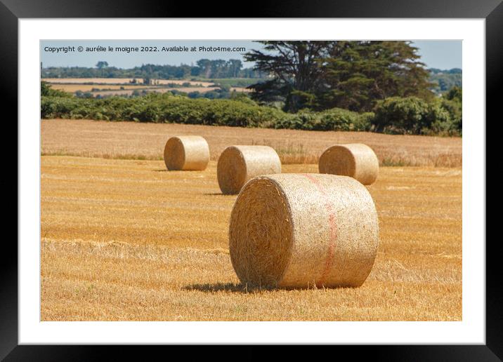 Straw bales in a field Framed Mounted Print by aurélie le moigne