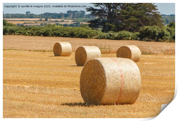 Straw bales in a field Print by aurélie le moigne
