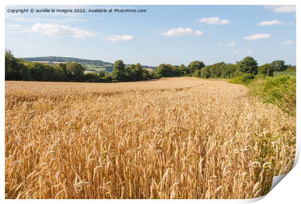 Field of barley Print by aurélie le moigne