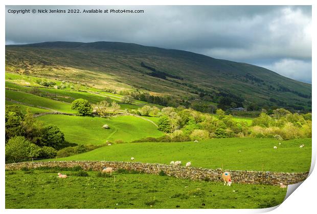 Howgill Fells from Garsdale Road Cumbria  Print by Nick Jenkins