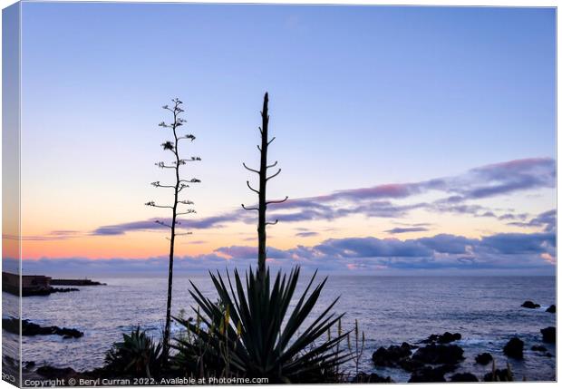 Exotic Sunset on Tenerifes Shoreline Canvas Print by Beryl Curran