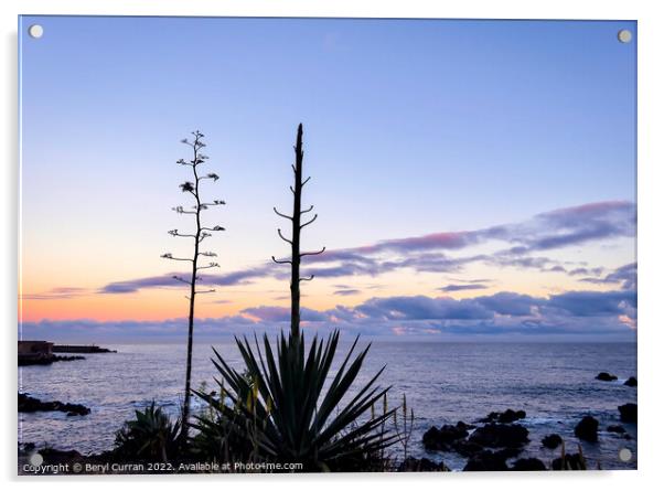 Exotic Sunset on Tenerifes Shoreline Acrylic by Beryl Curran