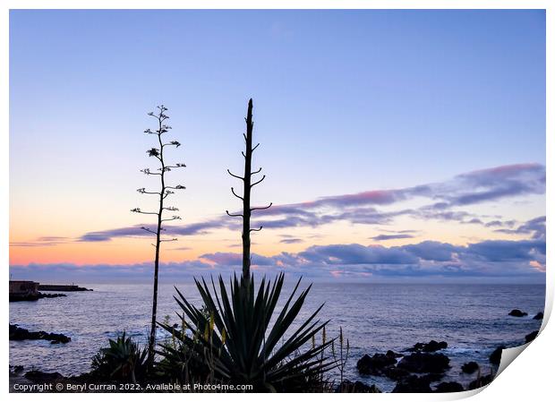 Exotic Sunset on Tenerifes Shoreline Print by Beryl Curran