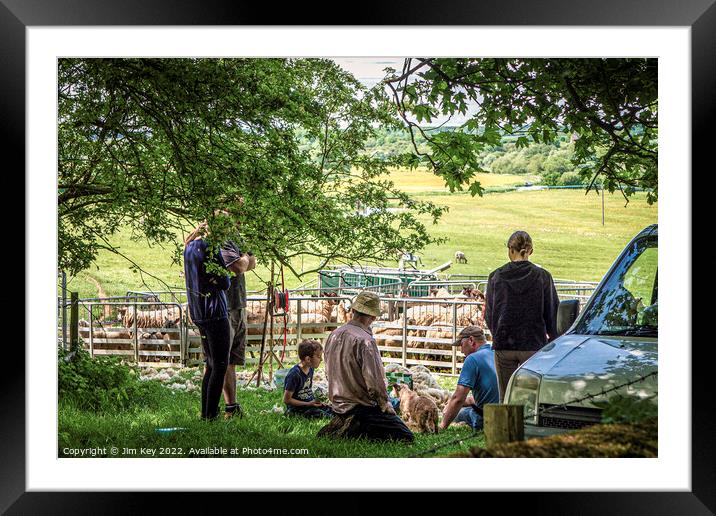 Sheep Shearers Lunch Framed Mounted Print by Jim Key
