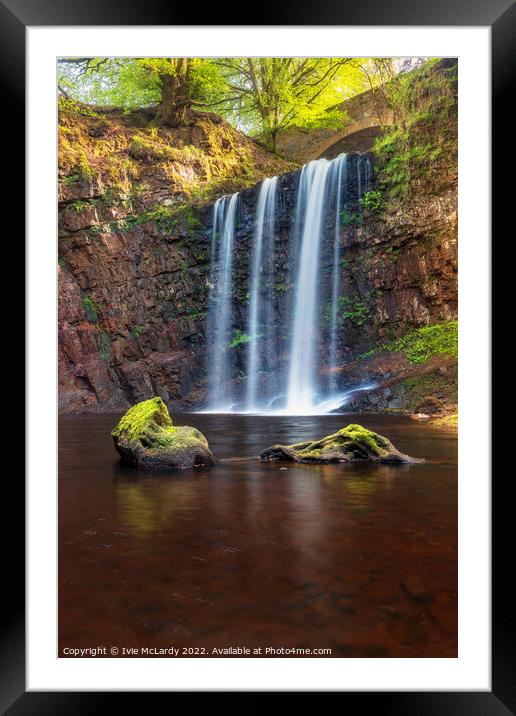 The Trout Pool Framed Mounted Print by Ivie McLardy