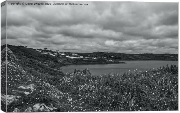 Coverack from Coverack Headland Canvas Print by David Swayne