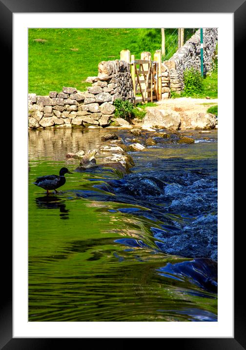 The River Dove At Dovedale Framed Mounted Print by Darren Burroughs