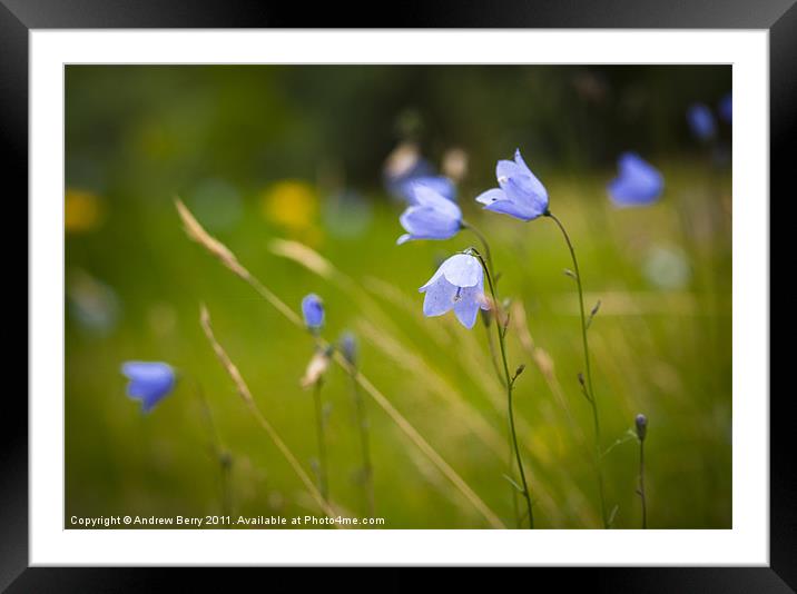 Country Meadow Framed Mounted Print by Andrew Berry