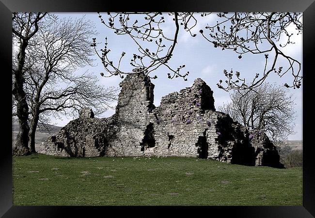 Castle Ruin Framed Print by Matt Cochrane