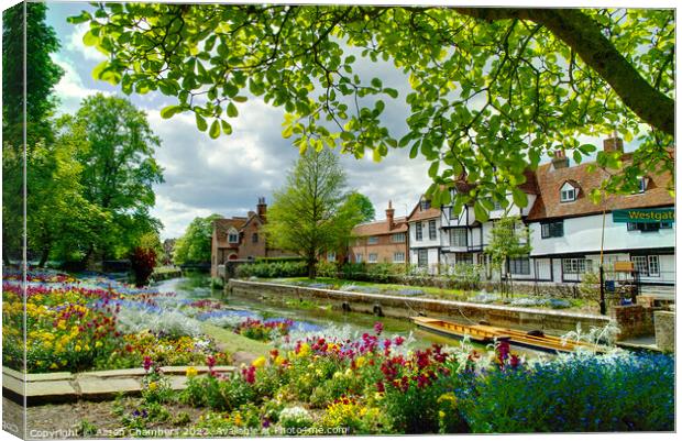 Spring In Westgate Park  Canterbury  Canvas Print by Alison Chambers