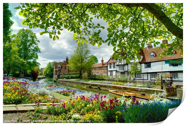 Spring In Westgate Park  Canterbury  Print by Alison Chambers