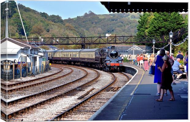 Dartmouth steam railway, Kingswear, Devon, UK. Canvas Print by john hill