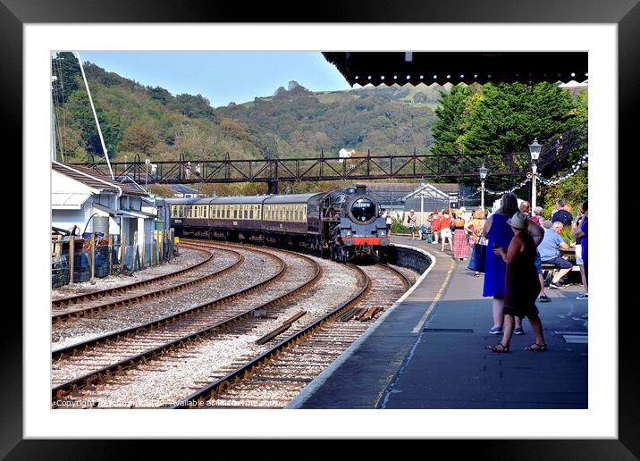 Dartmouth steam railway, Kingswear, Devon, UK. Framed Mounted Print by john hill