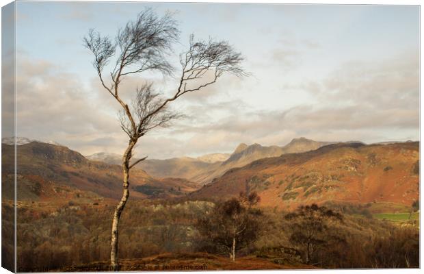 Majestic View of the Langdale Pikes Canvas Print by Richard North