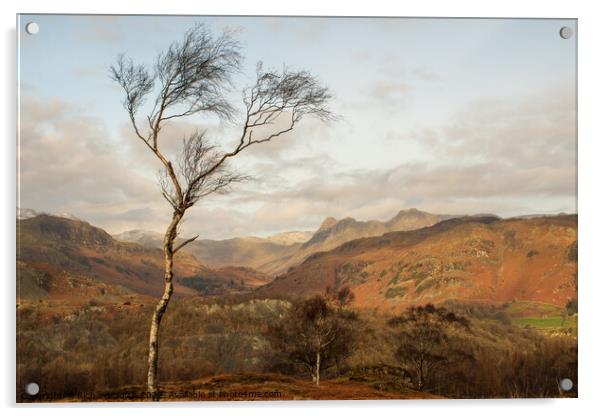 Majestic View of the Langdale Pikes Acrylic by Richard North