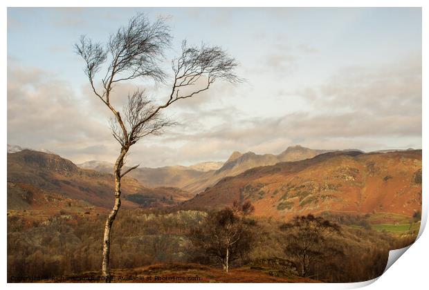 Majestic View of the Langdale Pikes Print by Richard North