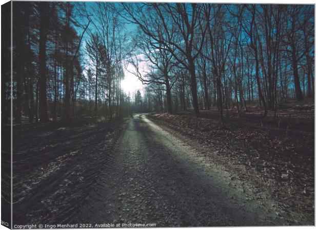 Dark rural road in a forest Canvas Print by Ingo Menhard