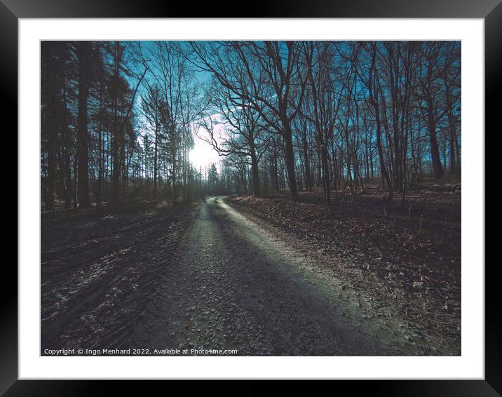 Dark rural road in a forest Framed Mounted Print by Ingo Menhard