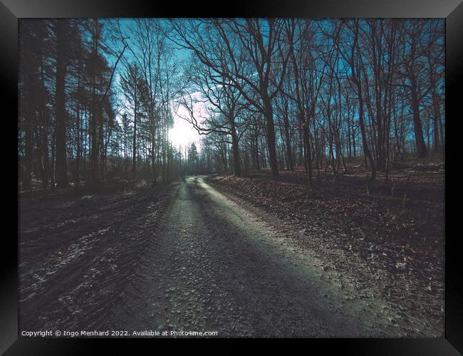 Dark rural road in a forest Framed Print by Ingo Menhard